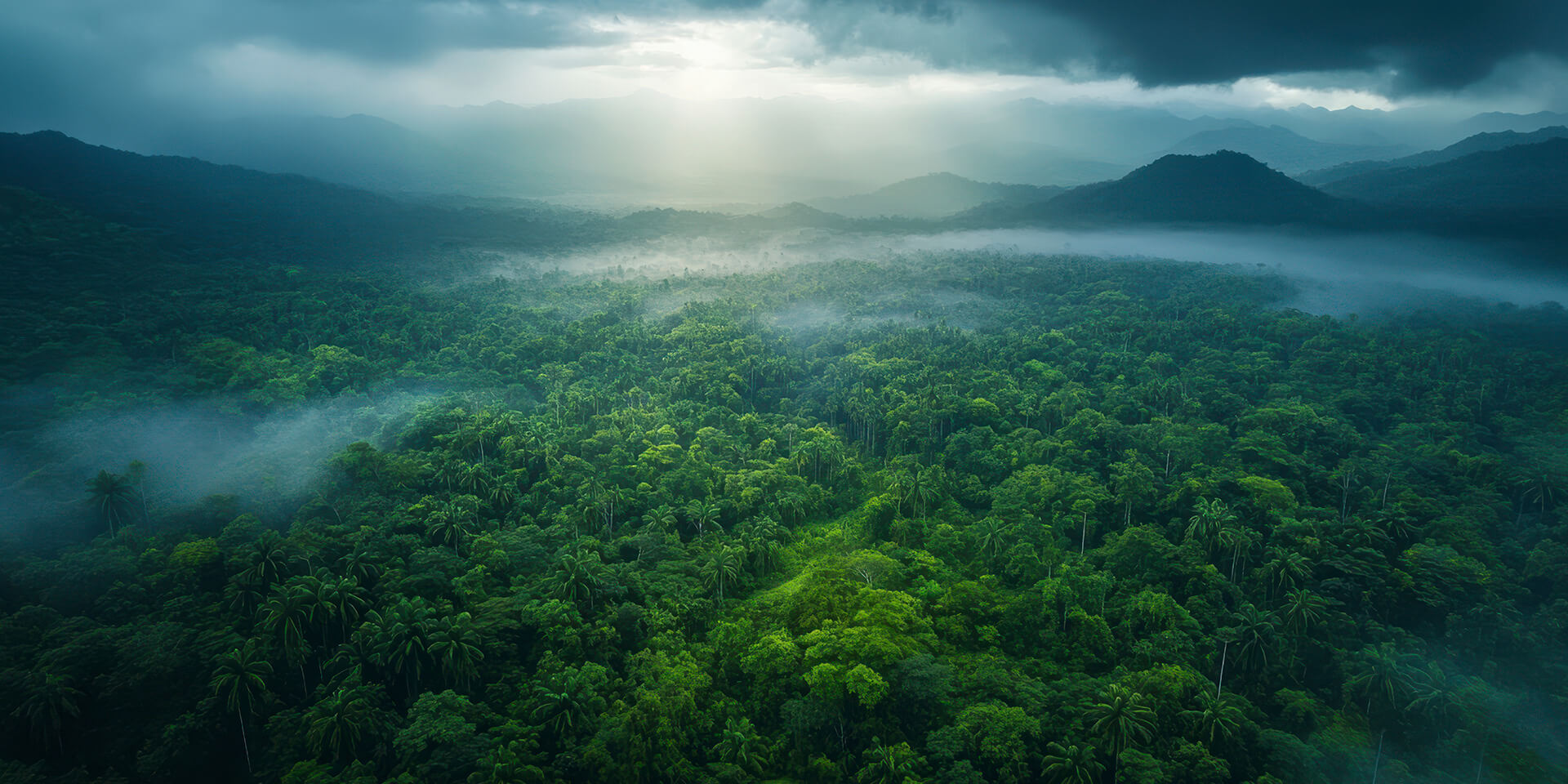 Eintritt Yala Nationalpark - Ihr Abenteuer beginnt hier